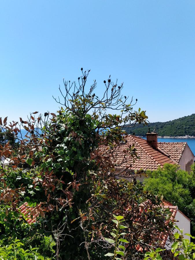 Adriatic Apartments Dubrovnik Exterior foto